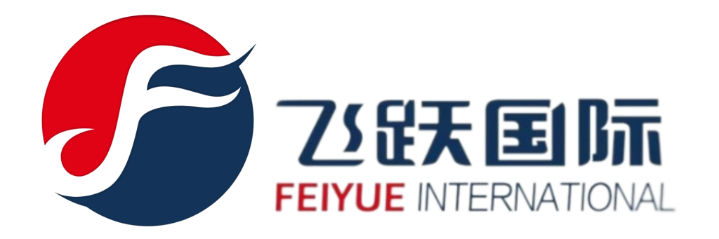 飛躍國際